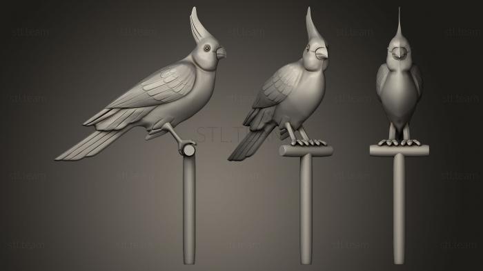 3D model Parrot on a perch (STL)